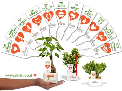 מתנות ללקוחות לטו בשבט, עציצים ממותגים כמוצרי פרסום לצמיחה עסקית  עם מתנות לכנסים ואירועים עסקיים