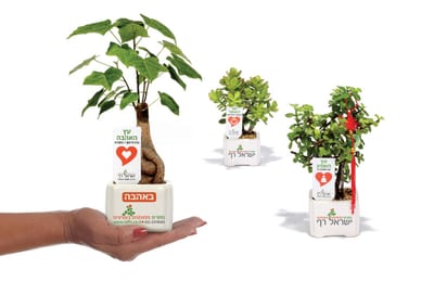 מתנות ממותגות לכנסים, ההצלחה מובטחת  עם עציצים ממותגים  עם מתנות לכנסים ואירועים עסקיים