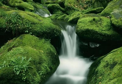 support towards net zero emissions image