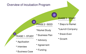1.B-One (Business Incubation Project)