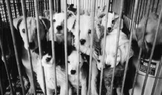 CHARITY PROGRAMS (FREE of CHARGE)