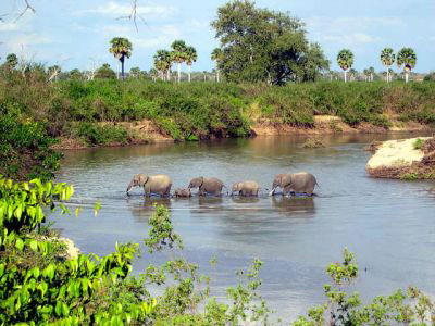 Tanzania hydroelectric dam plan in full swing