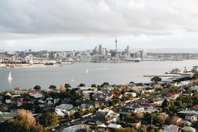 New Zealand wants to stop foreigners from buying homes