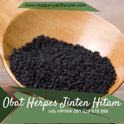 OBAT DOMPO HERBAL DI APOTIK