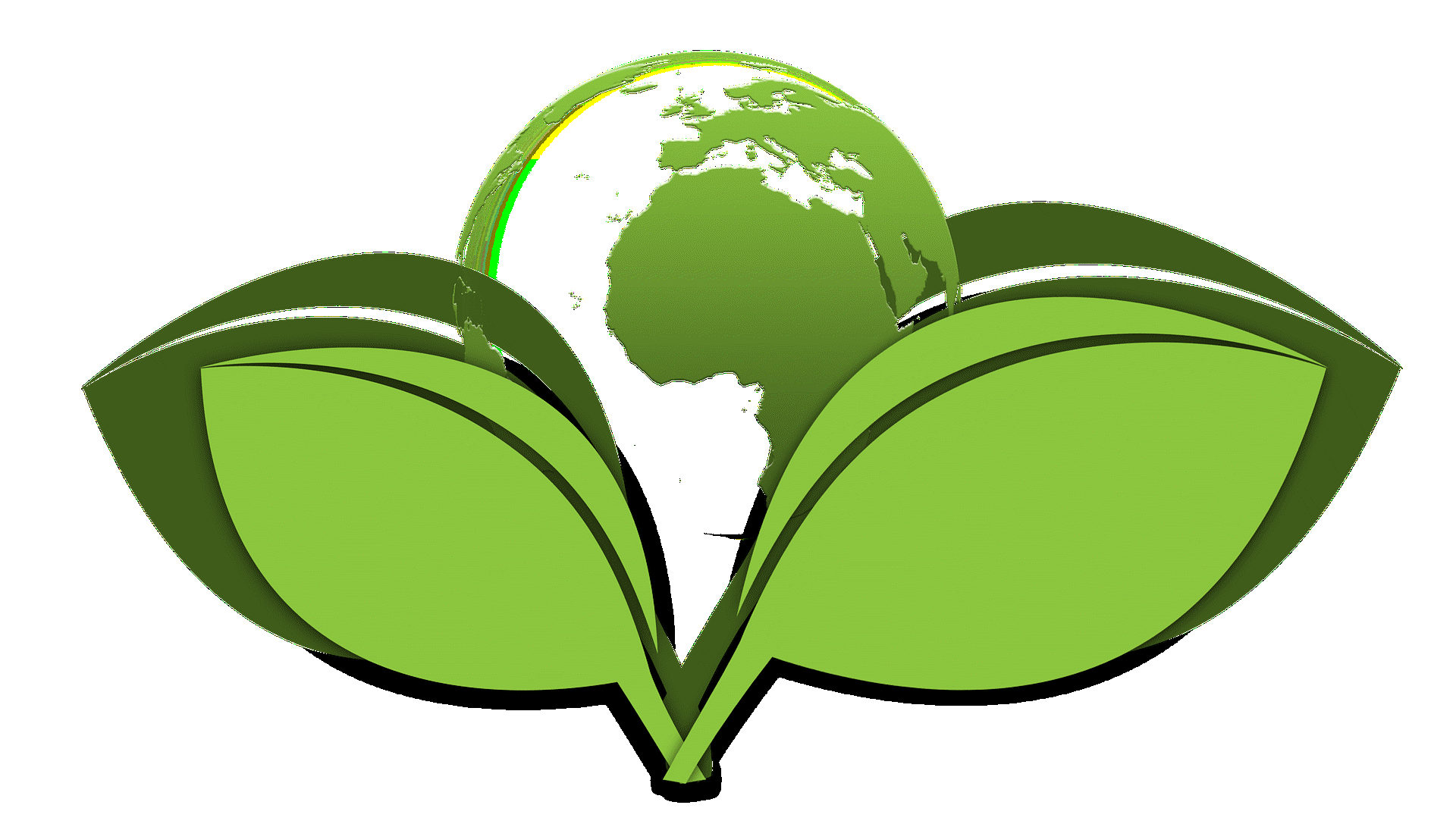 How Does One Become Environmentally Aware?