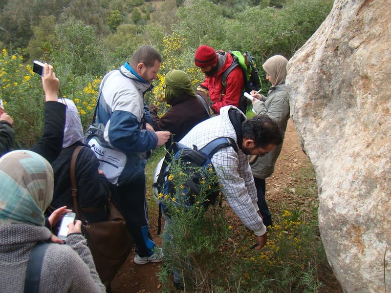 formation en phytothérapie a Oran