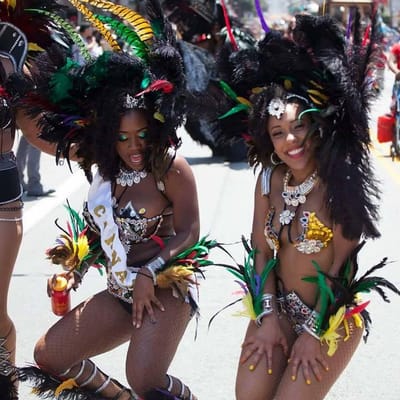 About Carnival with SWS image