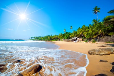 Videos That Will Make You Pack Your Bags and Go to Sri Lanka