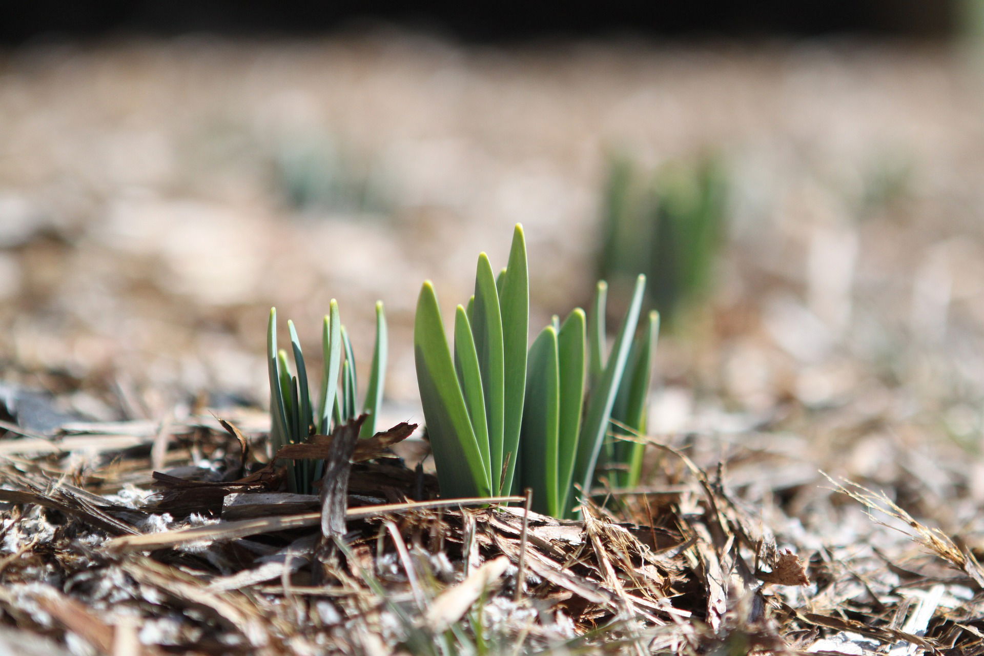 Feb 3: ARE YOU GROUNDED?