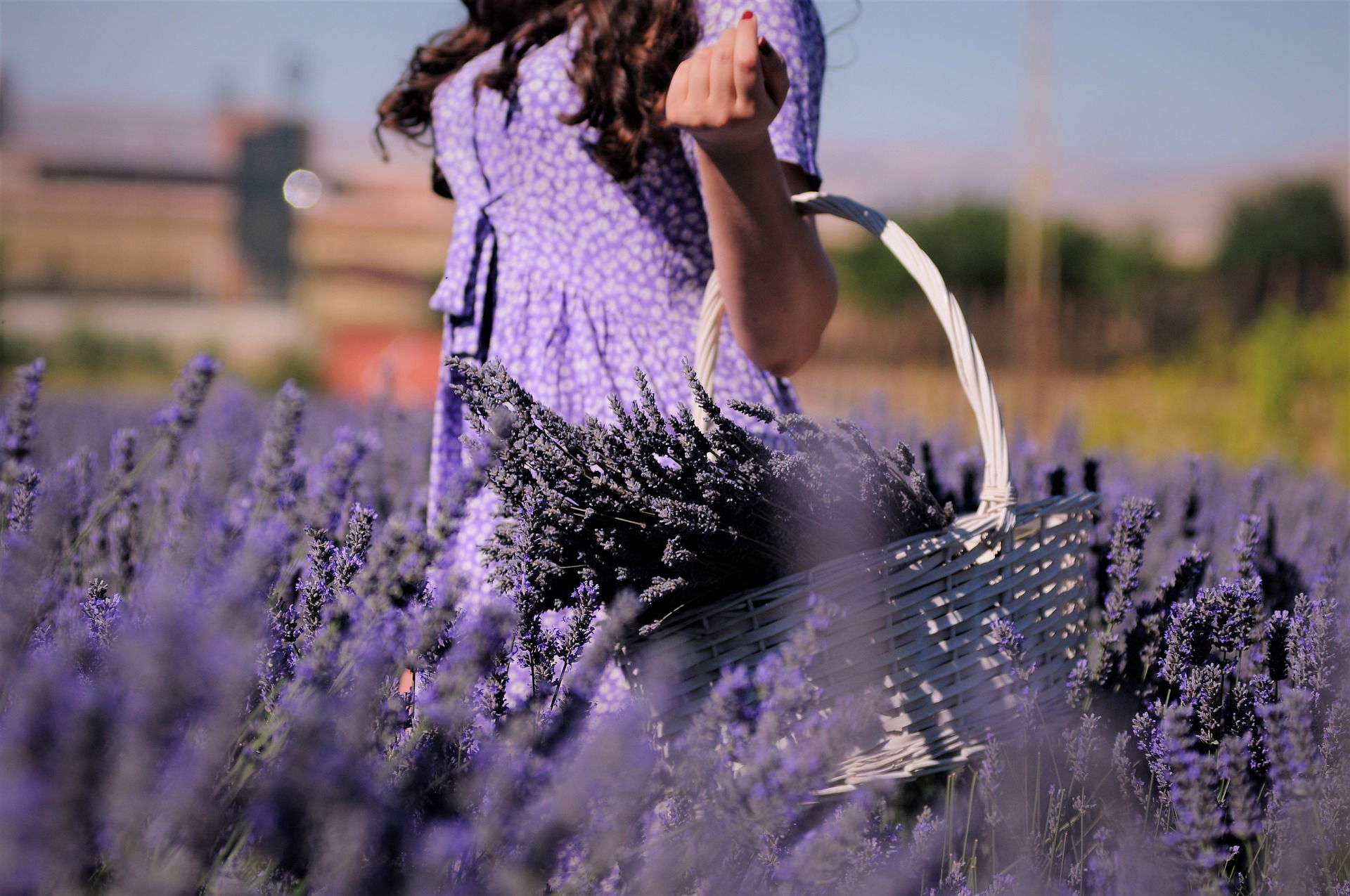 →PODCAST: A MAIS VENDIDA e ESPECIAL essência Floral de LAVANDA!