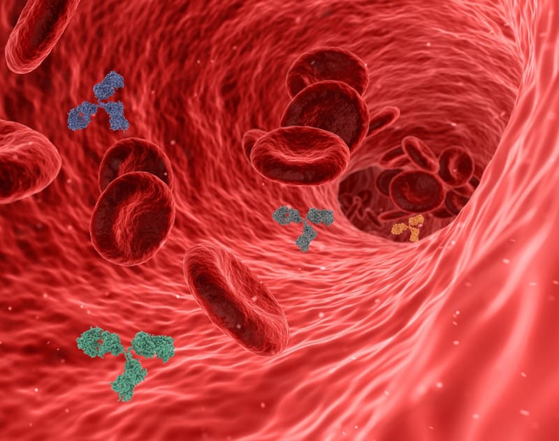 PERIPHERAL ARTERIAL DISEASE