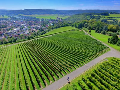 La cartographie image