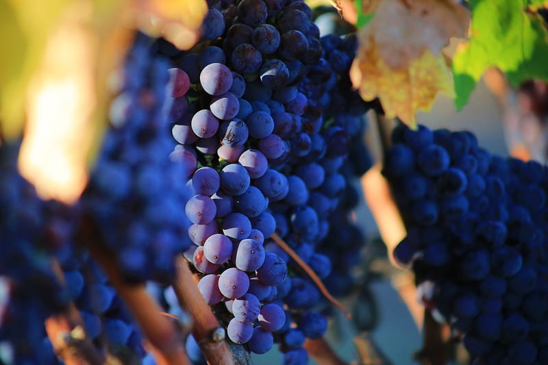 10 Ways To Get More Antioxidants Into Your Diet