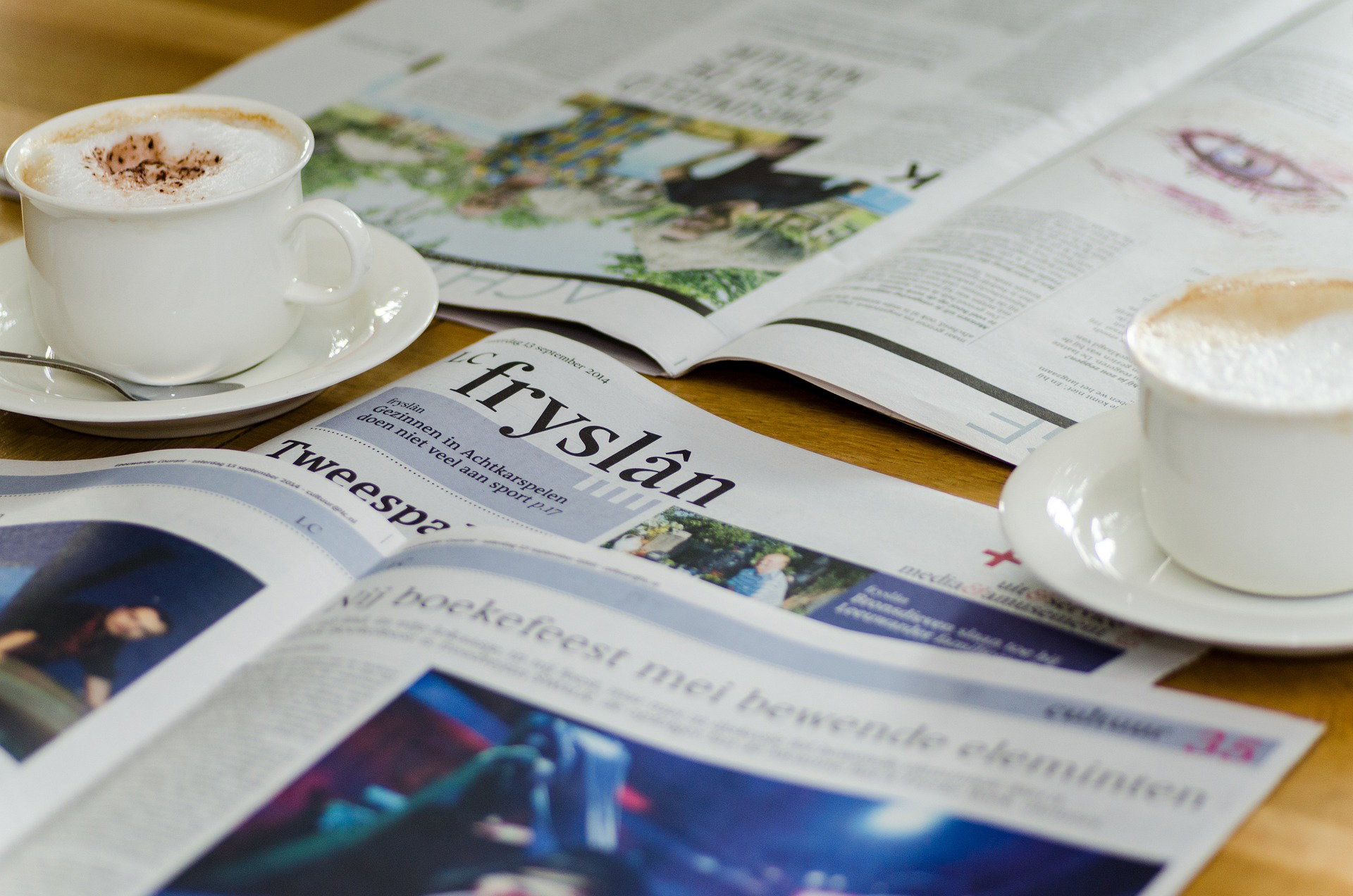 Tidningspapper och äggkartonger: 5 gratis prylar du kan återanvända vid sådden