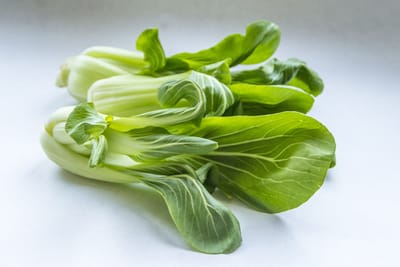 Asiatiska blad – Odla på sensommaren när allt annat blommar ut