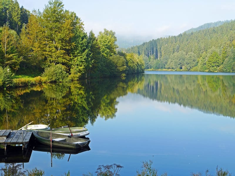 WELLNESS RETREATS