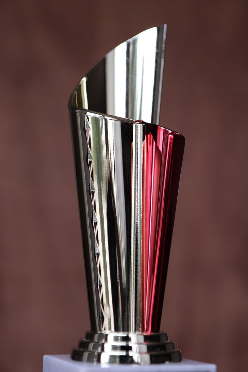 Vice Chancellor's Distinguished Award (2023)