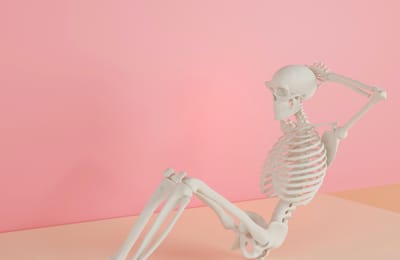 SKELETON AND MUSCLES