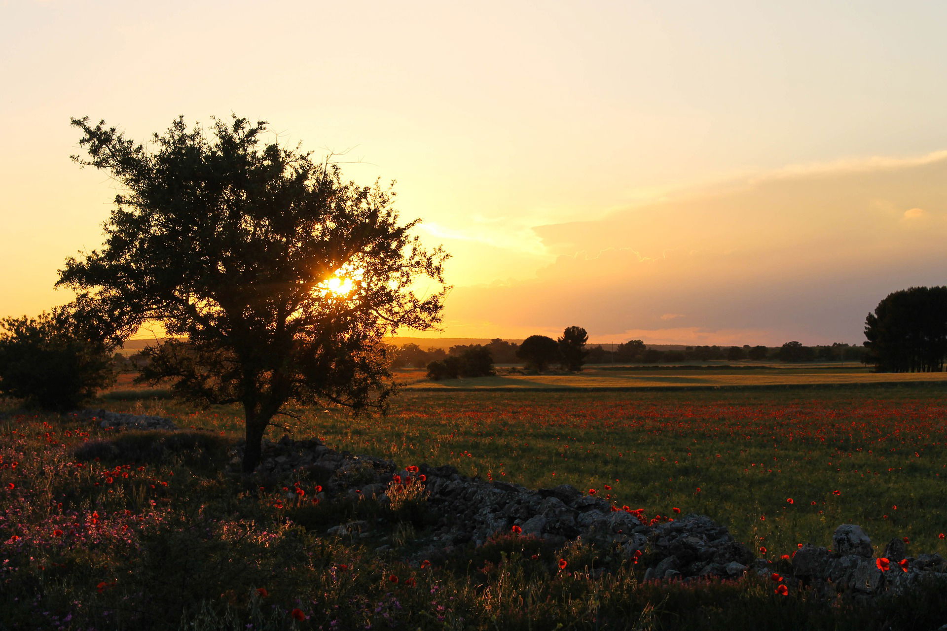 Case a 1 euro in Puglia