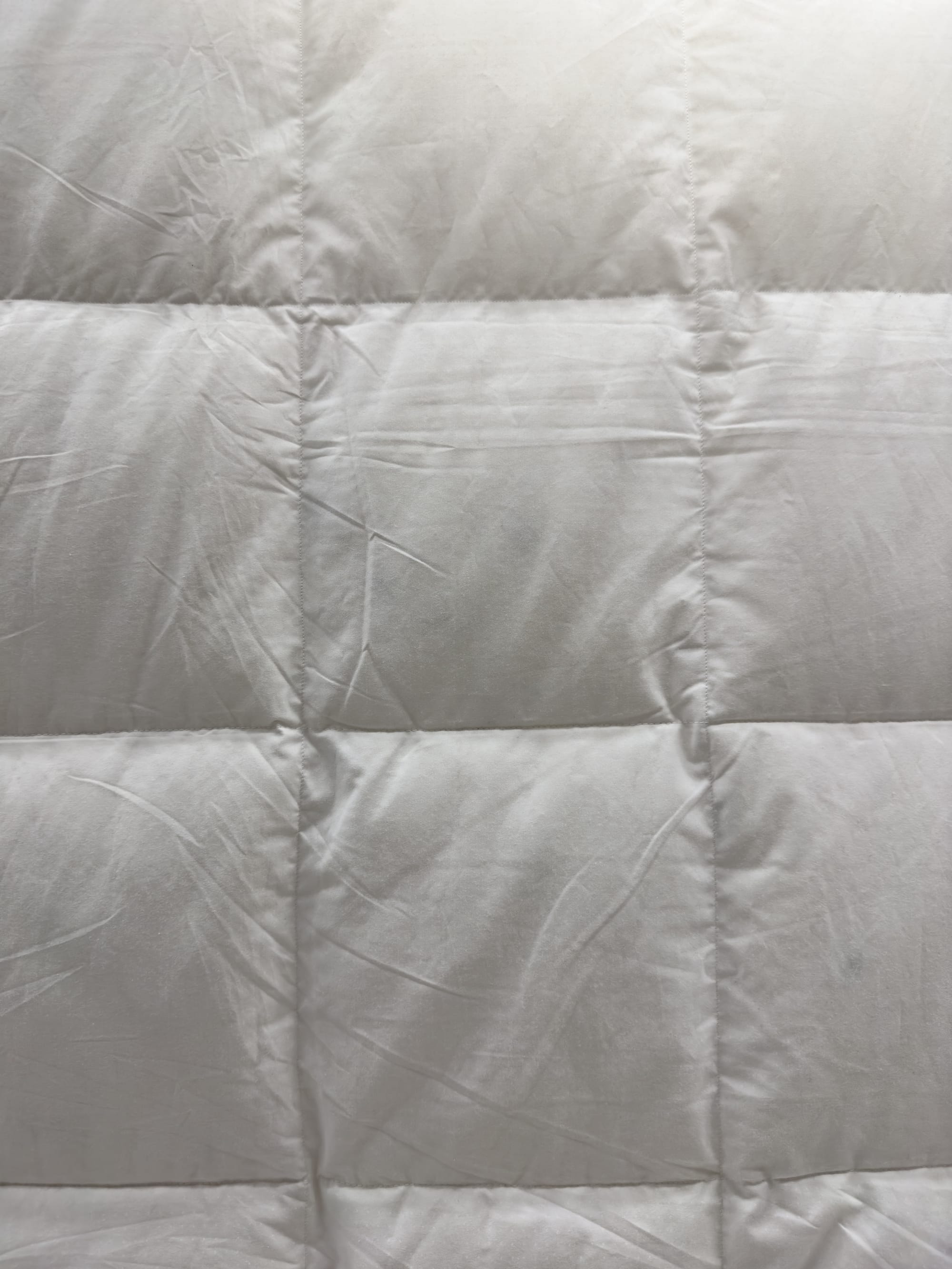 Mattress Protector vs. Mattress Encasement