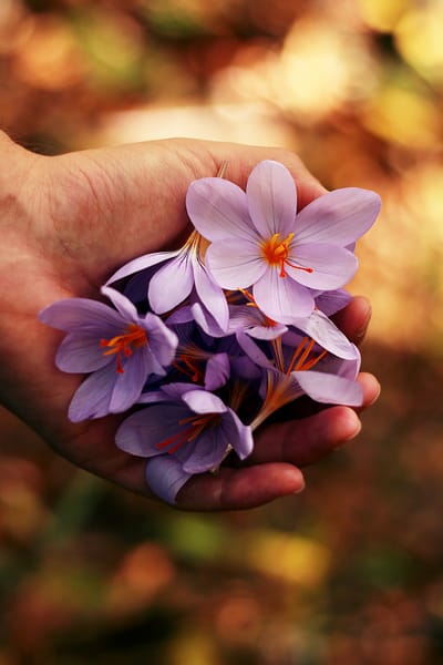 Therapies and background information   image