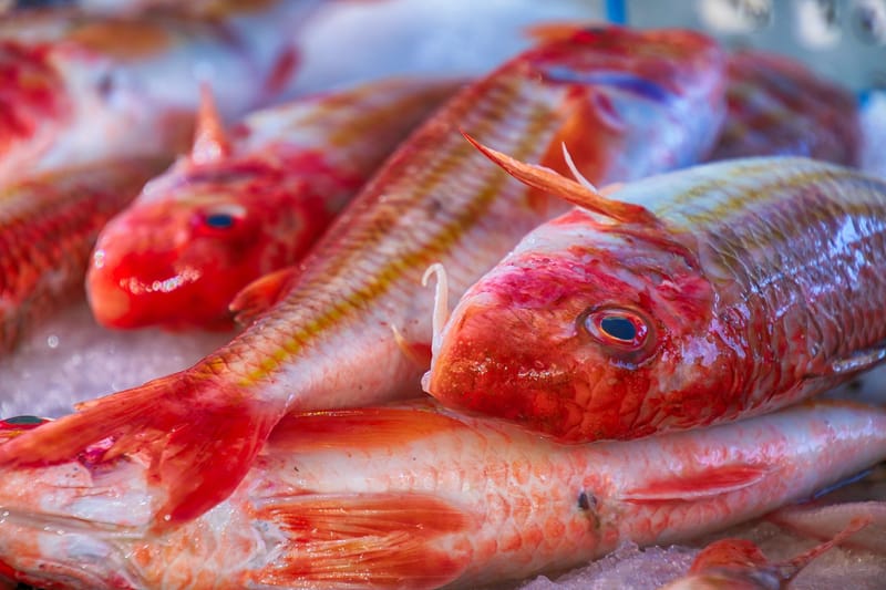 Μπαρμπούνια/Red mullet