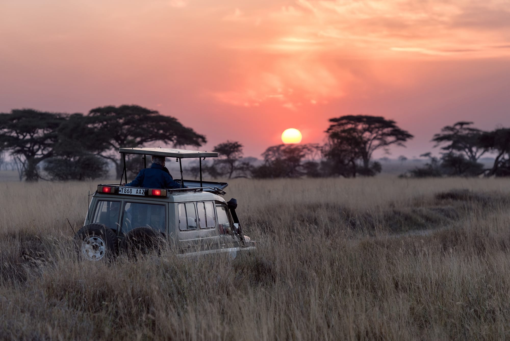 Luxury safari in Tanzania