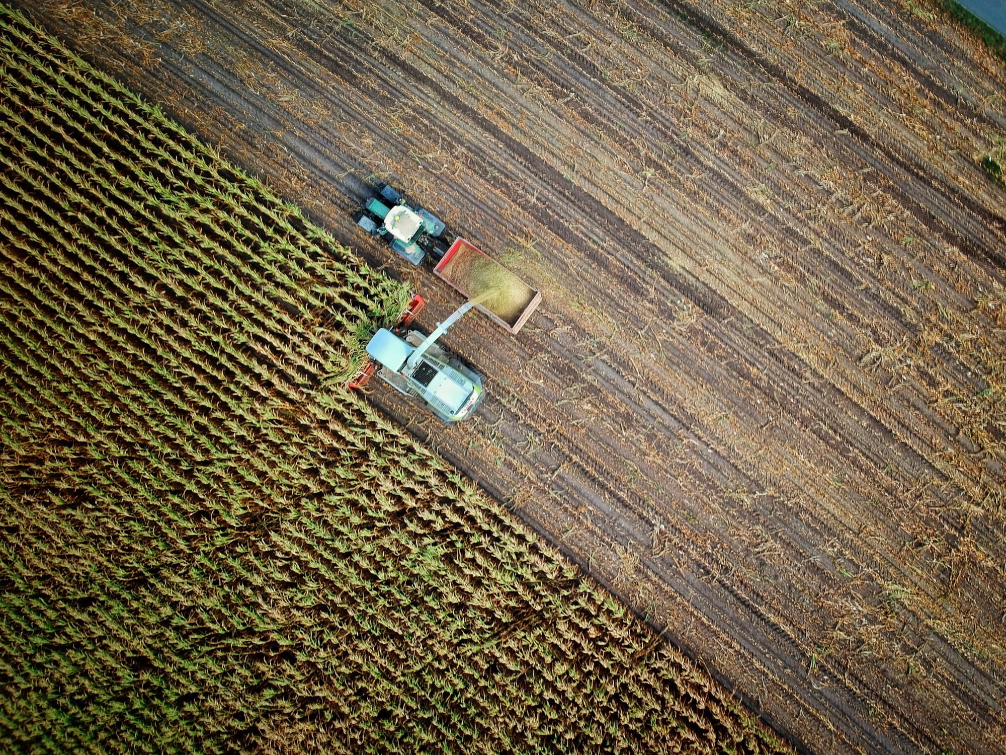 Cooperativa Agricolă de Gradul 3