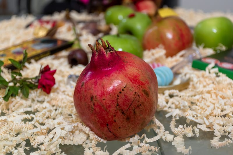 מיהו האדם? - הרצאה