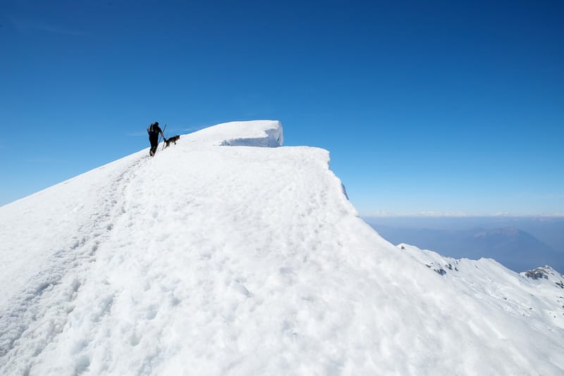 Experience the Best Trekking Tours in India with Indohike