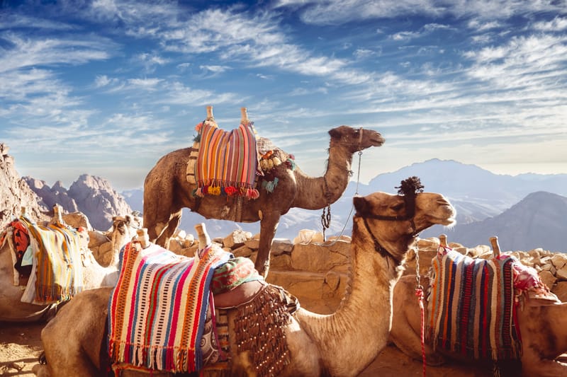 3 Days 2 Nights Egypt Holiday Package