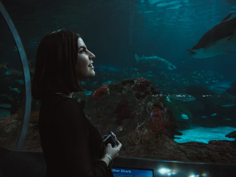 CAN FISH BE AN EMOTIONAL SUPPORT ANIMAL?