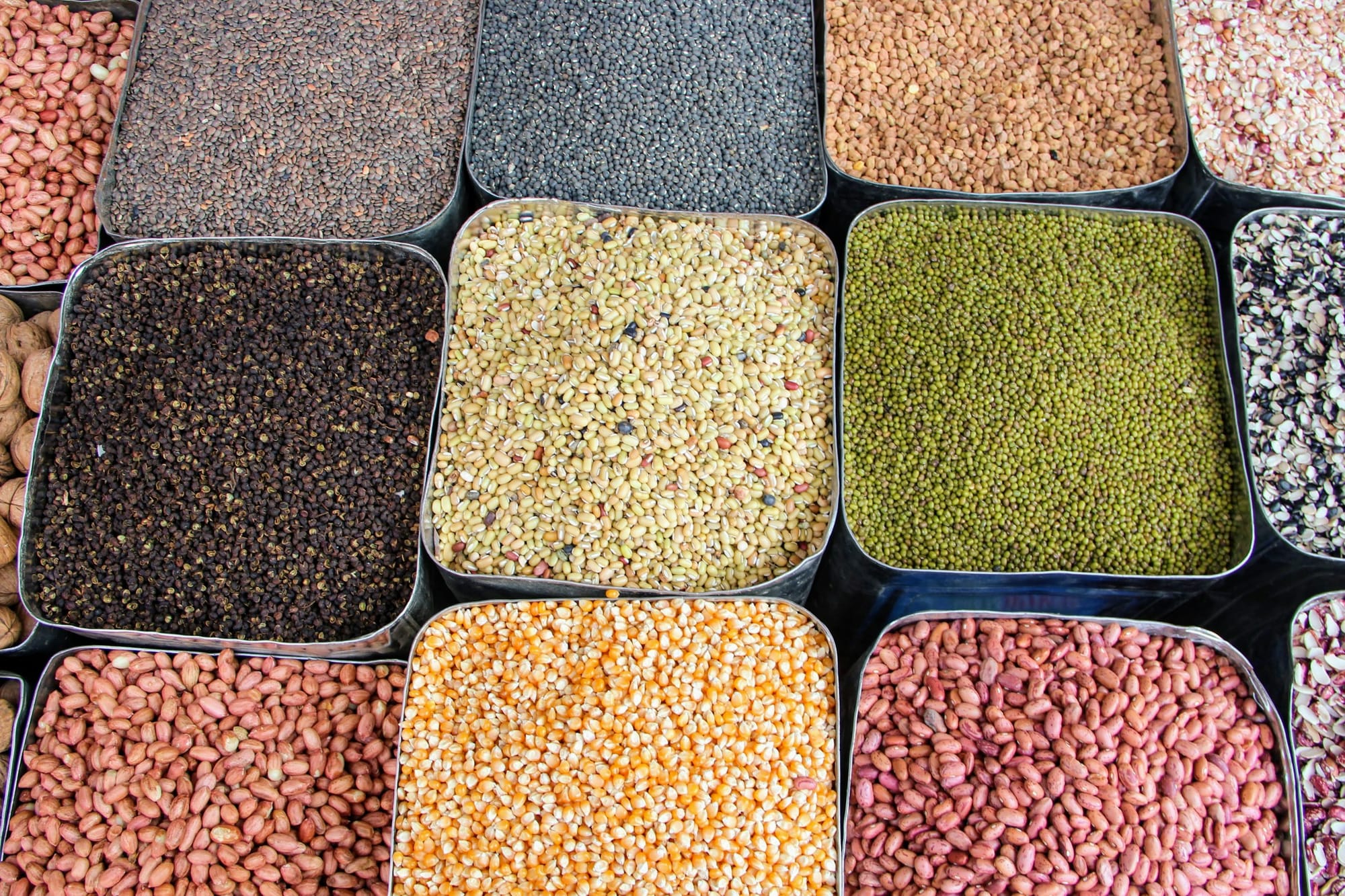 WILL INIDA BECOME SELF-SUFFICIENT IN PULSES?