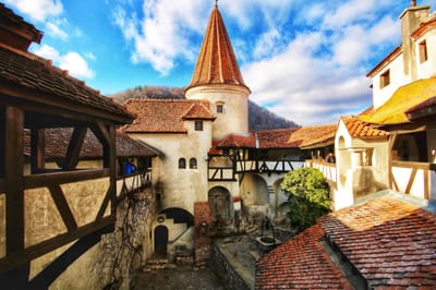 About TRANSYLVANIA image