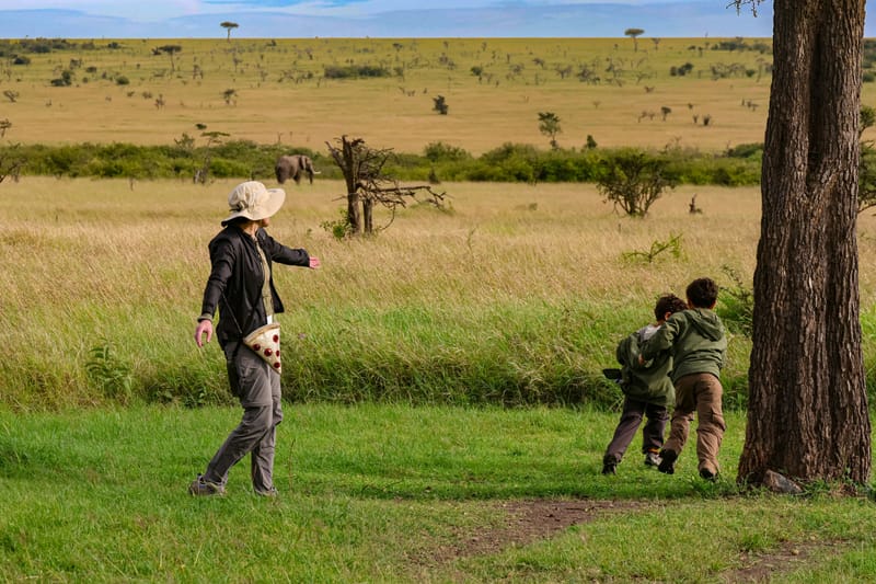 3 DAYS 2 NIGHTS Discount Holiday Safari Package: MAASAI MARA