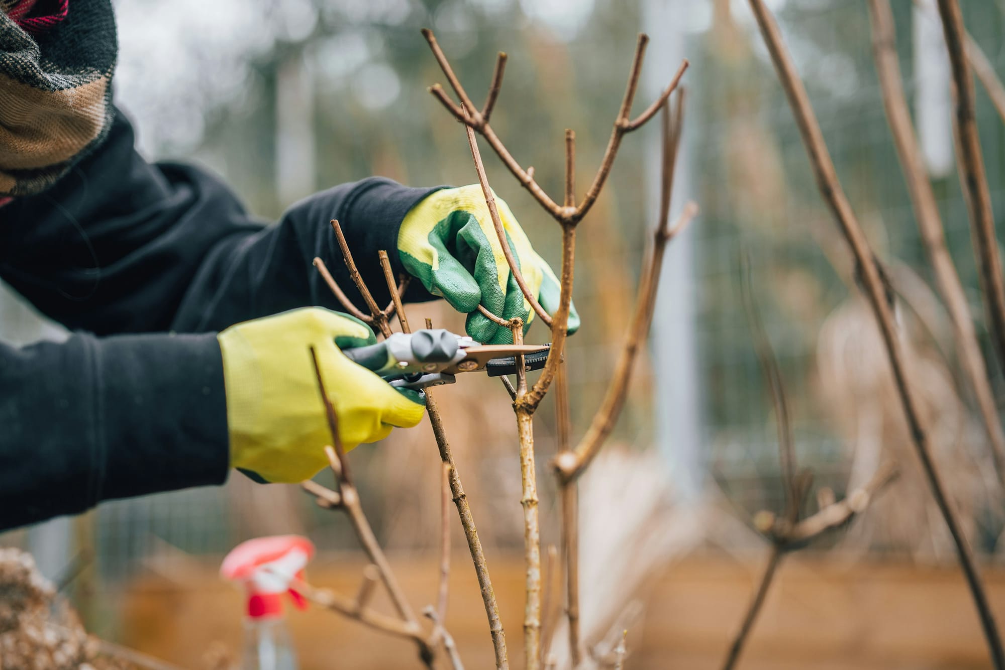 How to Clean and Care for Your Garden Tools in 8 Easy Steps
