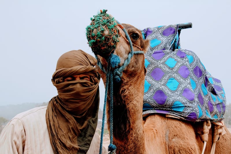 MAGICAL MOROCCO