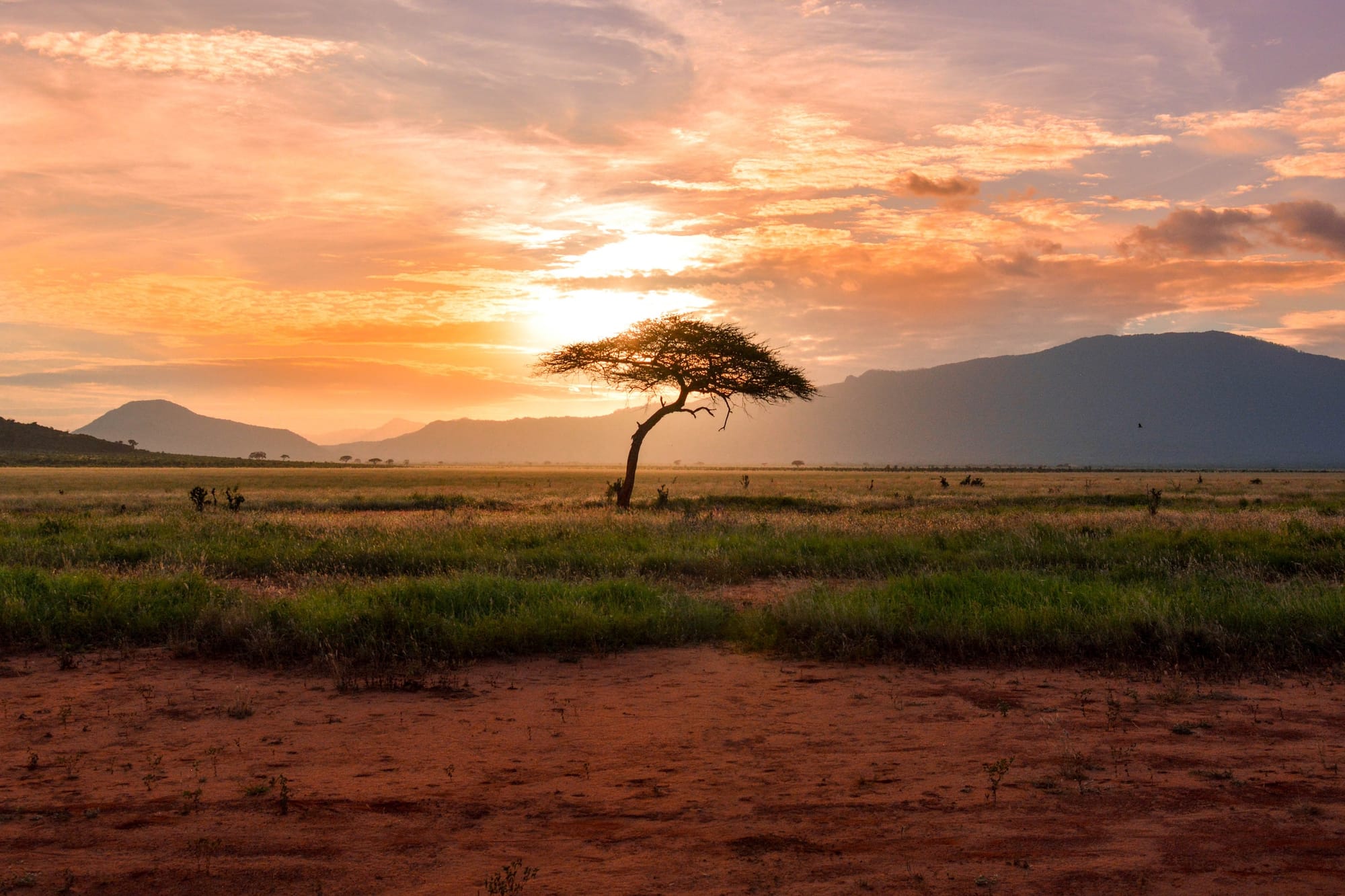 The climate of Kenya