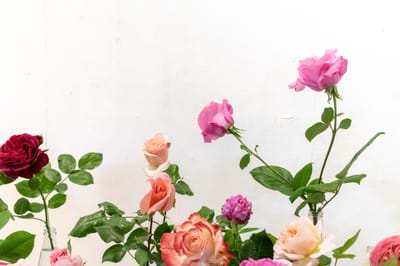 صبحية مع الرب