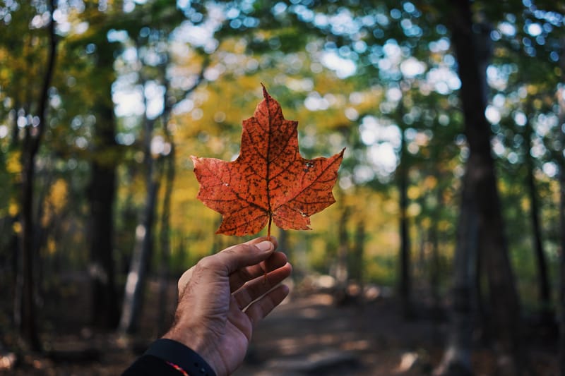 2022 Canada Gairdner Award