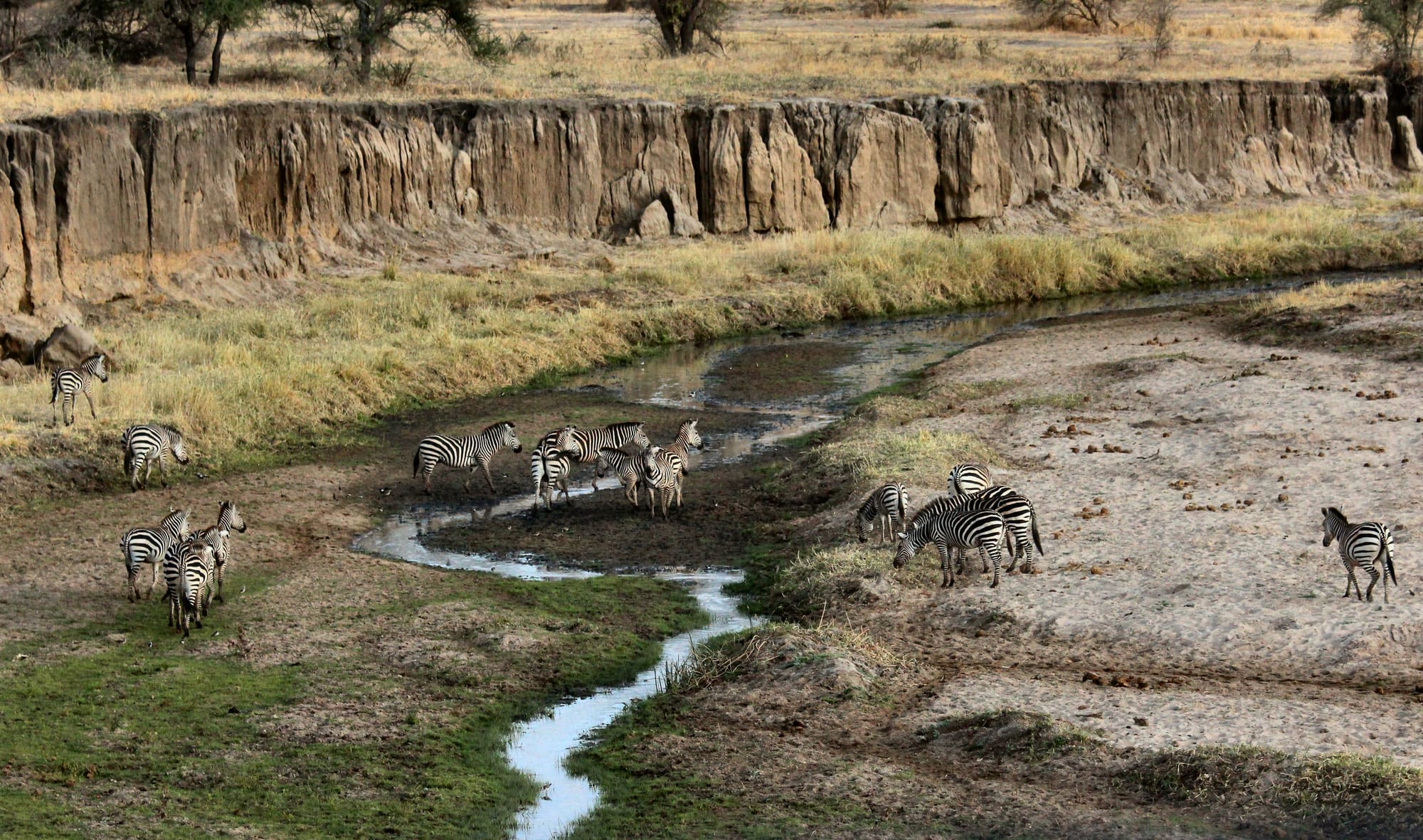 The climate of Tanzania