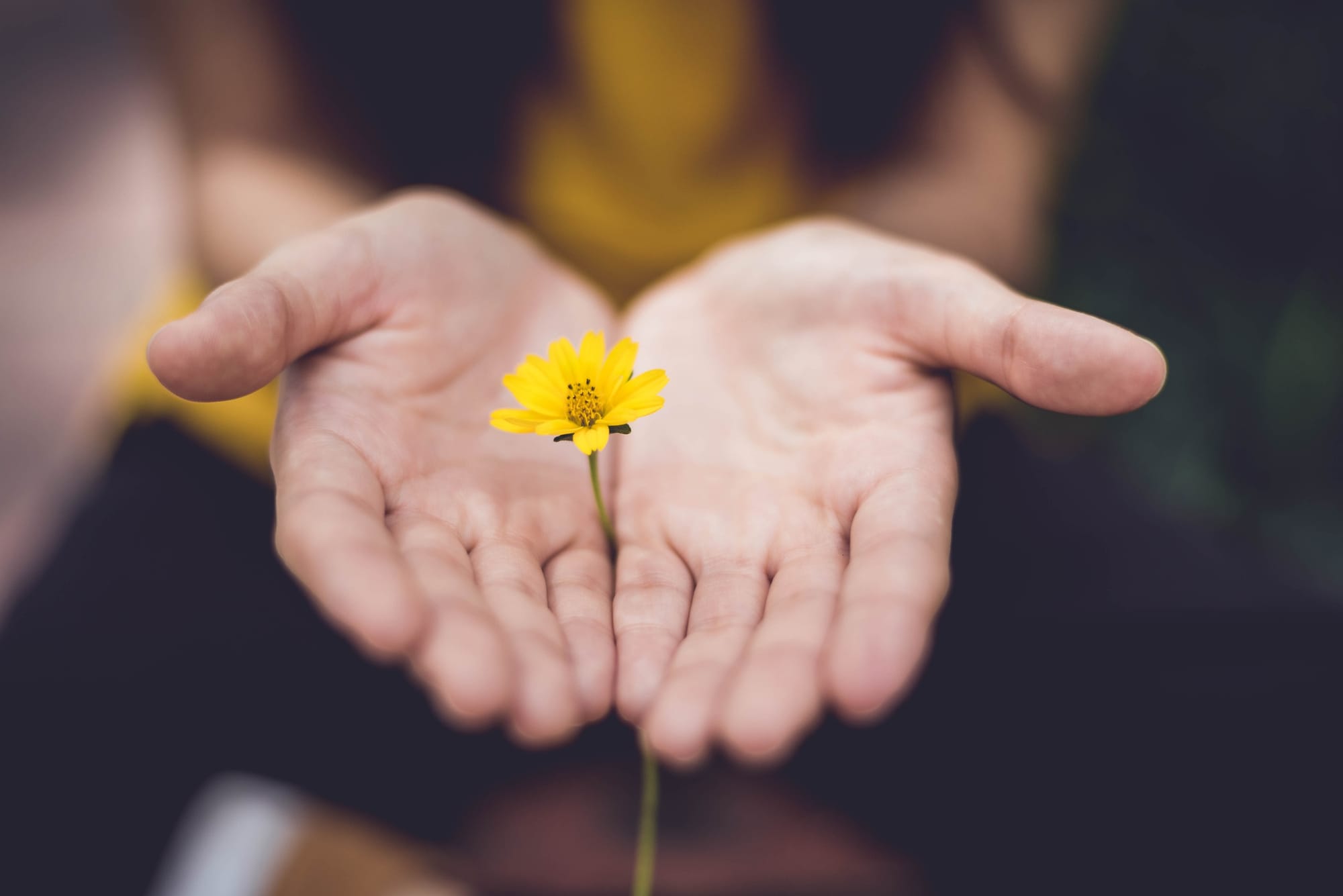 Mindfulness and Education: Cultivating Inner Growth in Australia