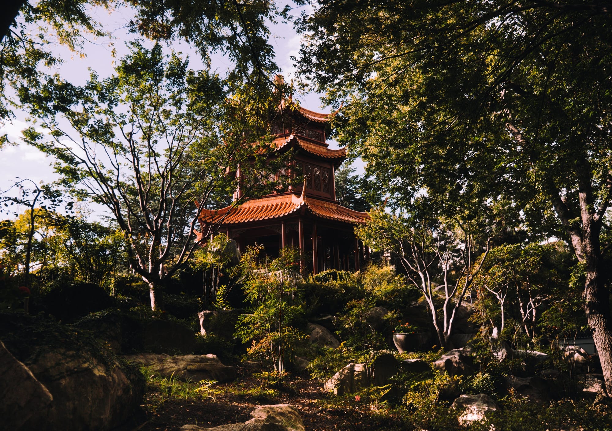 La Pharmacopée Chinoise