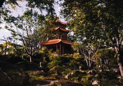 La Pharmacopée Chinoise