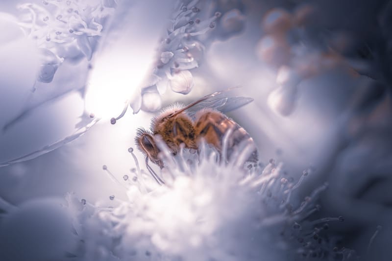 Sobre nosotros image