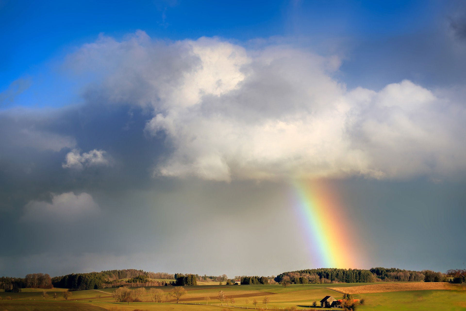 Weather and Climate, Organisms and Animals