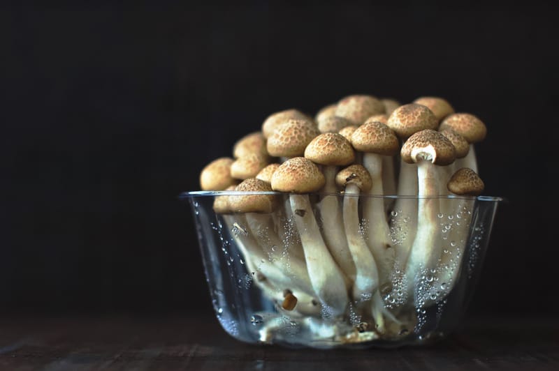 The Health Benefits of Reishi Mushrooms