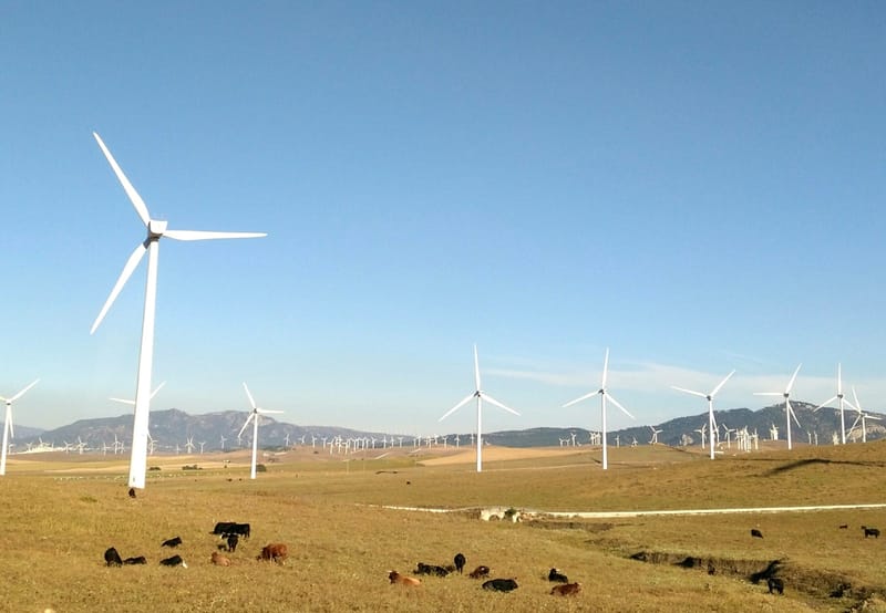 Sustainable Development Initiatives and International Development