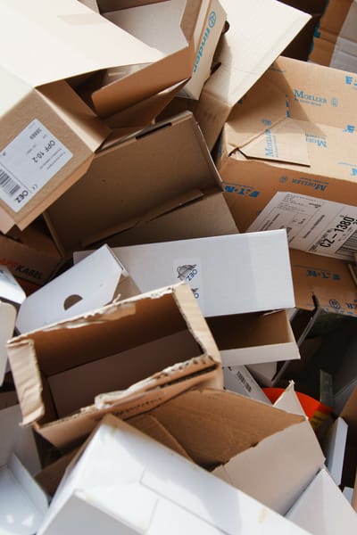 5 Trends Shaping the Future of Paper Packaging and Recycling
