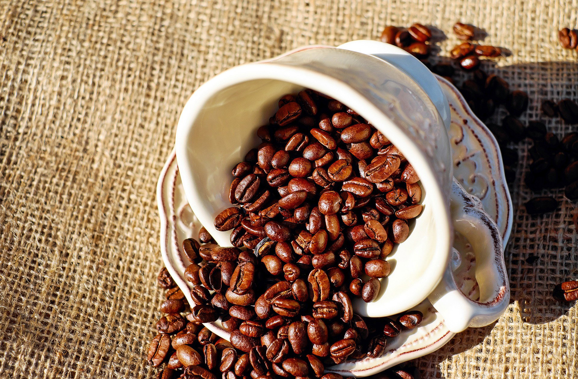 🚨 SOUTH AFRICA’S COFFEE MARKET BREWS STRONG GROWTH WITH 5%–6% CAGR AS INDUSTRY VALUE SURPASSES USD 900 MILLION ☕📈💰🌍www.afroworldagrifood.com
